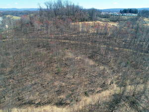 housing development site - before