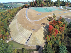 Site development for neighborhoods
